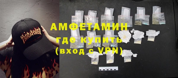 индика Алзамай