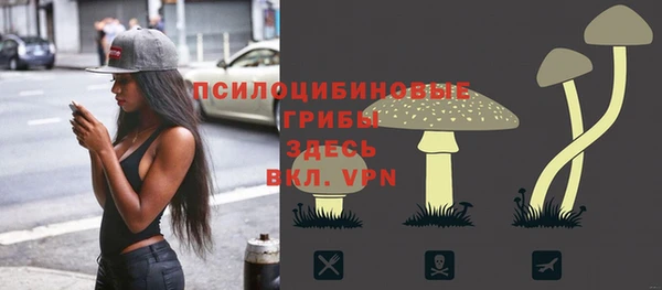 индика Алзамай