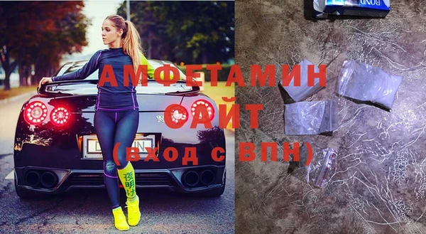 индика Алзамай