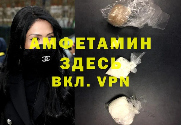 индика Алзамай