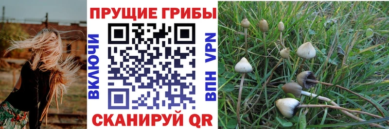 Галлюциногенные грибы мицелий Белореченск